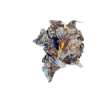 kangaroo_knee_caps