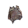 kangaroo_ribs